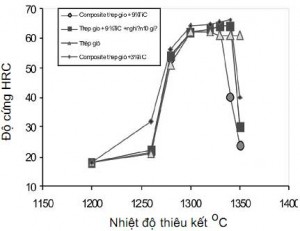 Hình 10