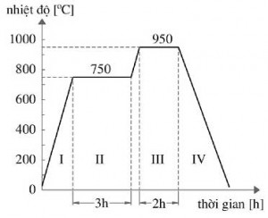 Hình 1