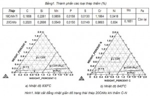 Hình 1, Bảng 1