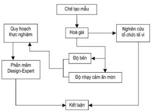 HoagiaPC1