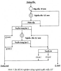 Hình 1