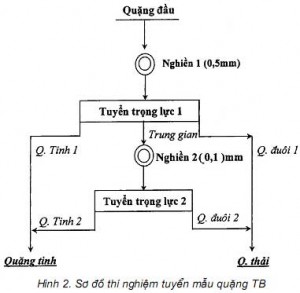 Hình 2