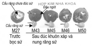 Hình 4