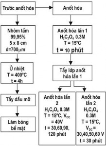 Hình 1