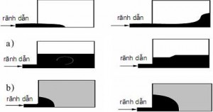 Hình 1