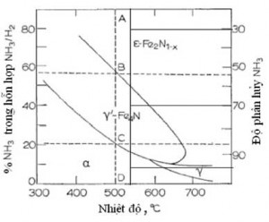 Hình 1