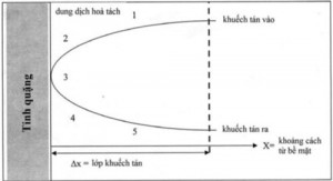 Hình 5. Động học phản ứng của chất rắn trong dung  dịch [2]